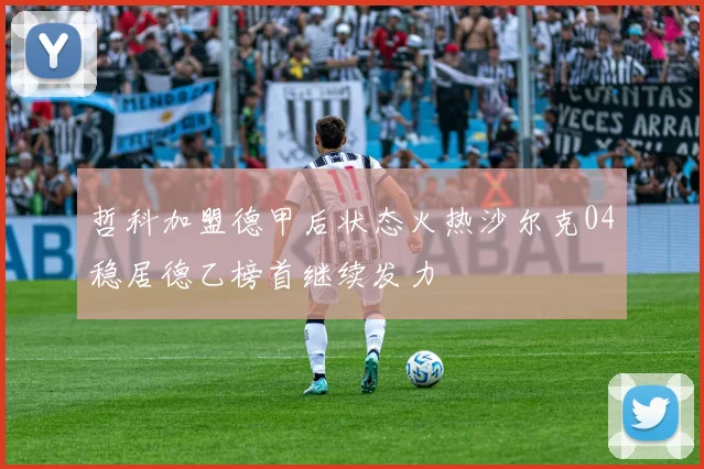 哲科加盟德甲后状态火热沙尔克04稳居德乙榜首继续发力
