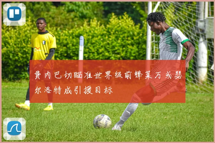 费内巴切瞄准世界级前锋莱万或瑟尔洛特成引援目标