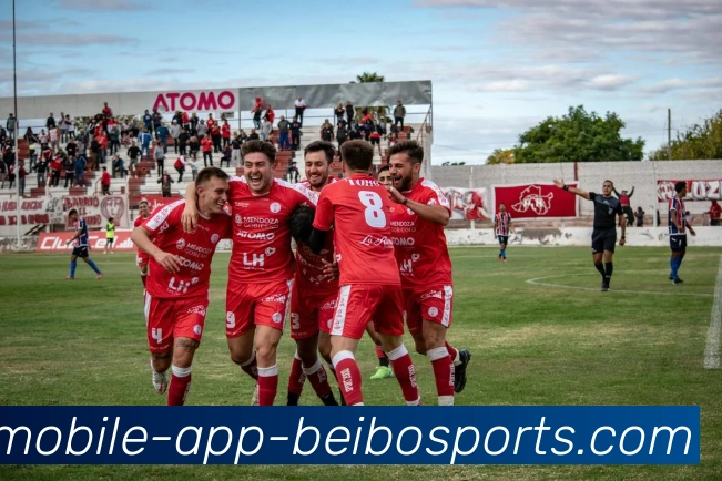 App Interface Preview